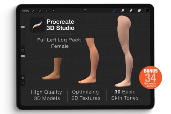 Mastering the Procreate 3d Model Left Leg Female